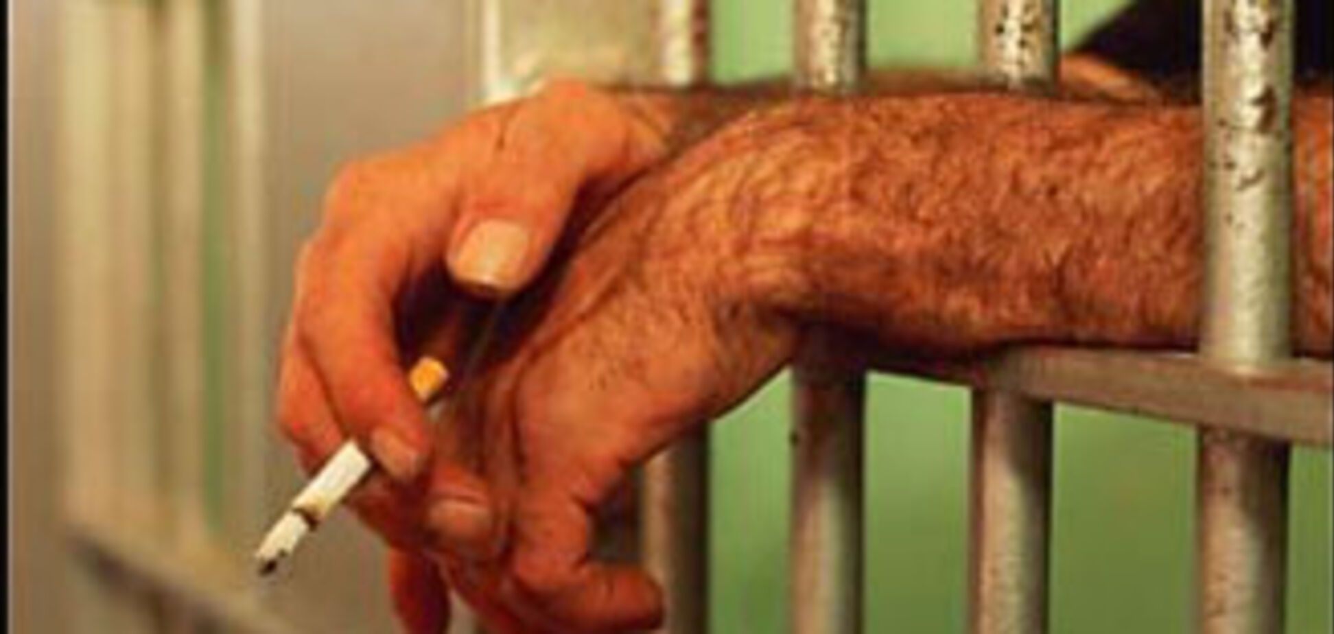 Ющенко просят узаконить тайну переписки с адвокатами