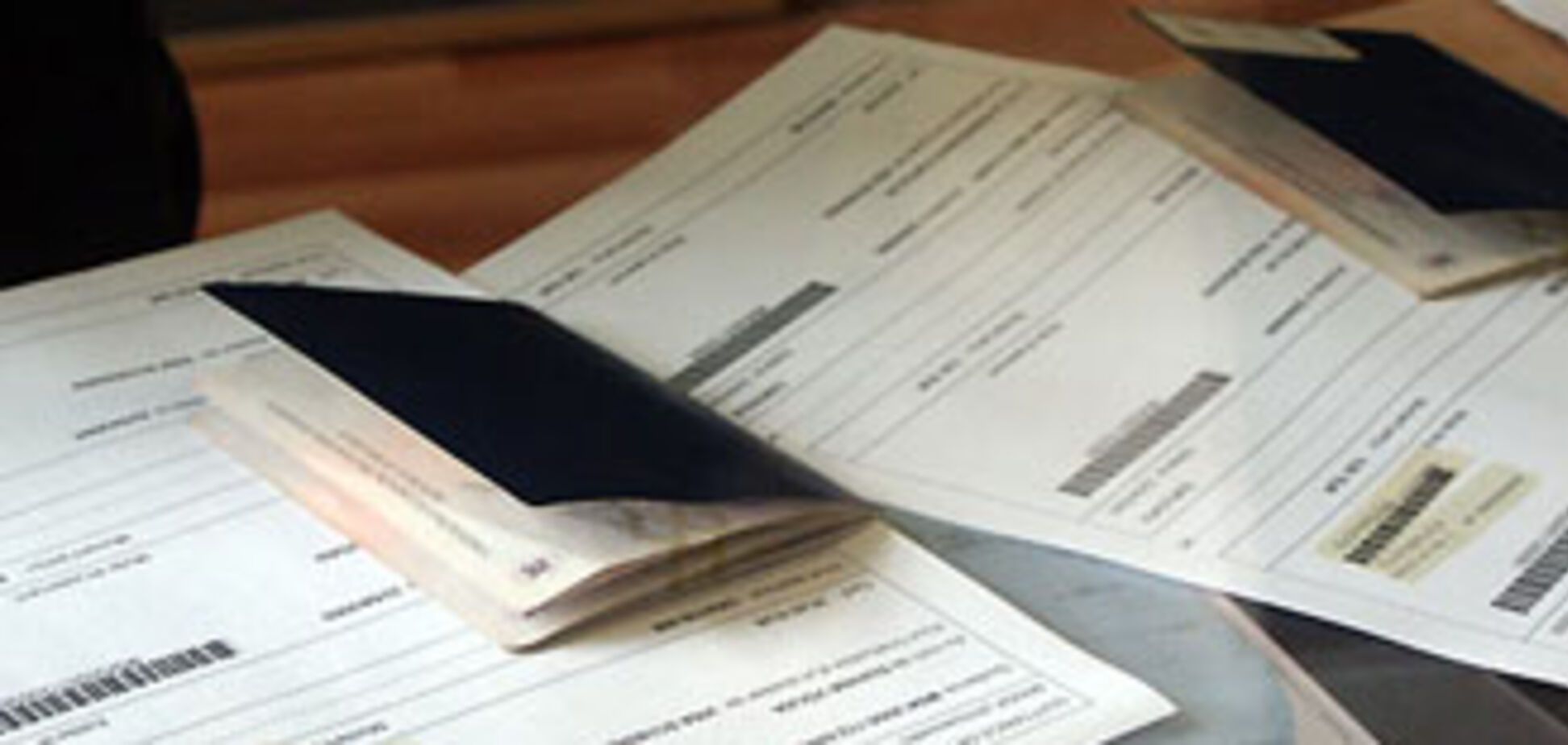 Украинцы смогут получать польскую визу через интернет