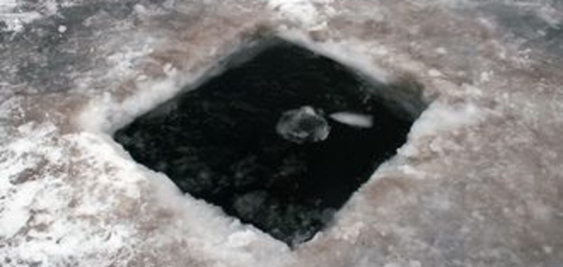 МНСники врятували з льодового полону 98 лебедів