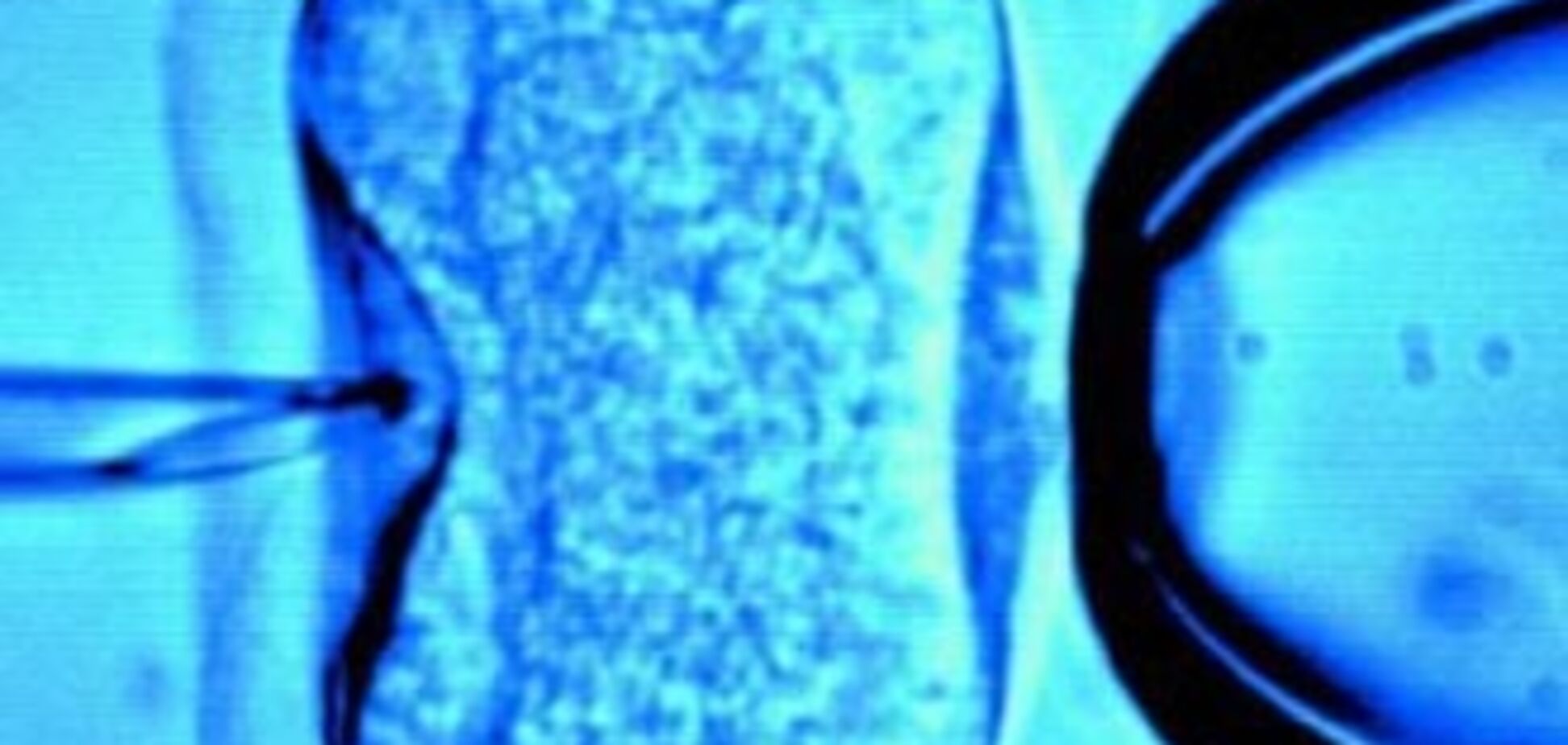 В США родился младенец зачатый 20 лет назад