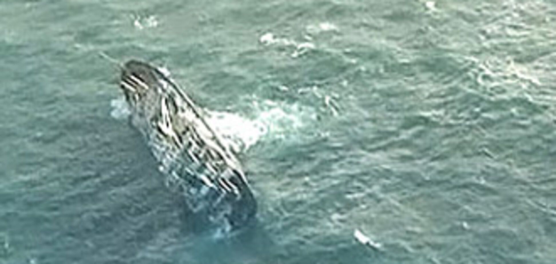 Одного з моряків затонулого 'Василя' знайшли мертвим