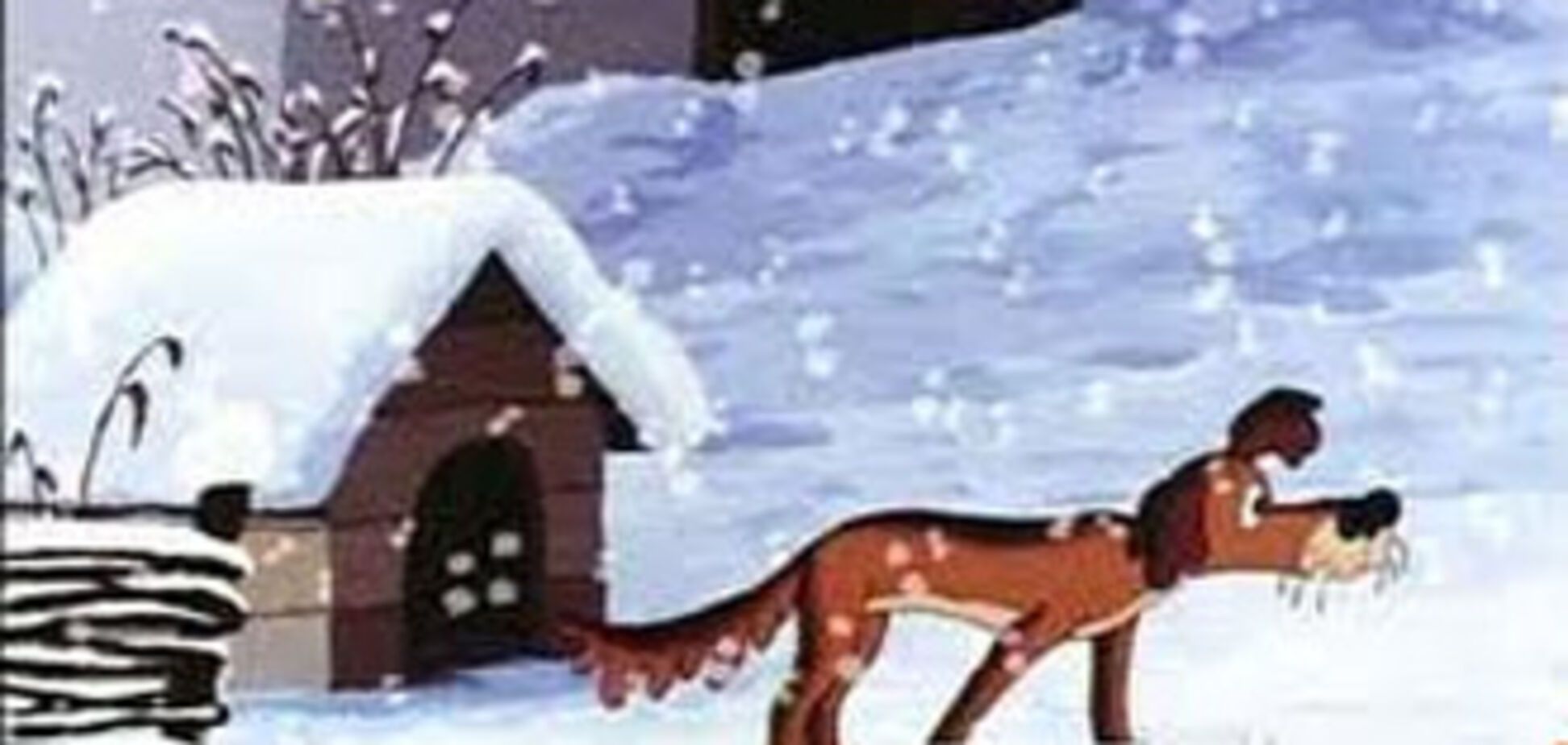 Під Києвом пес Сірко врятував пенсіонерку від банди циган