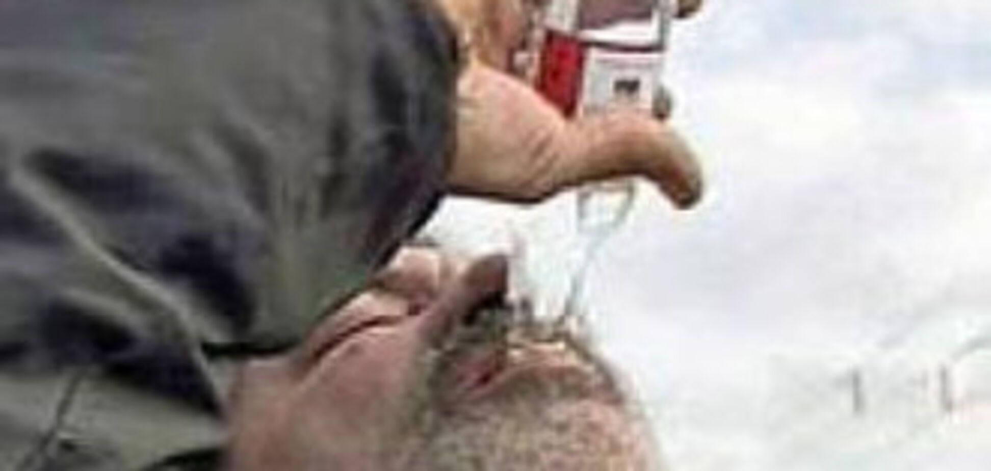 Під Києвом чоловік пристрелив алкаша, який будив дитини