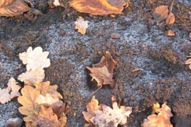 Вихідні 'порадують' українців дощем і заморозками