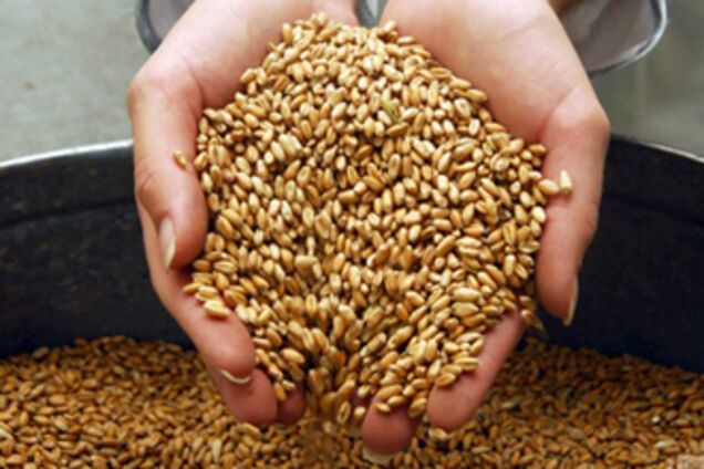 Путин выпросил для России 2 млн тонн зерна