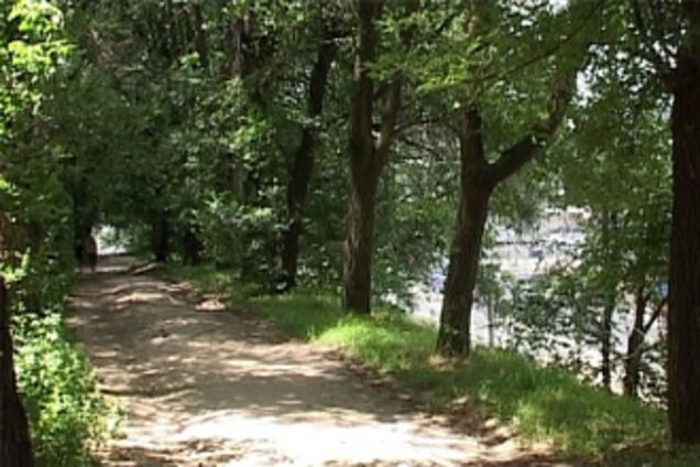 Сколько стоит дерево в Харькове? Мэрия подсчитала