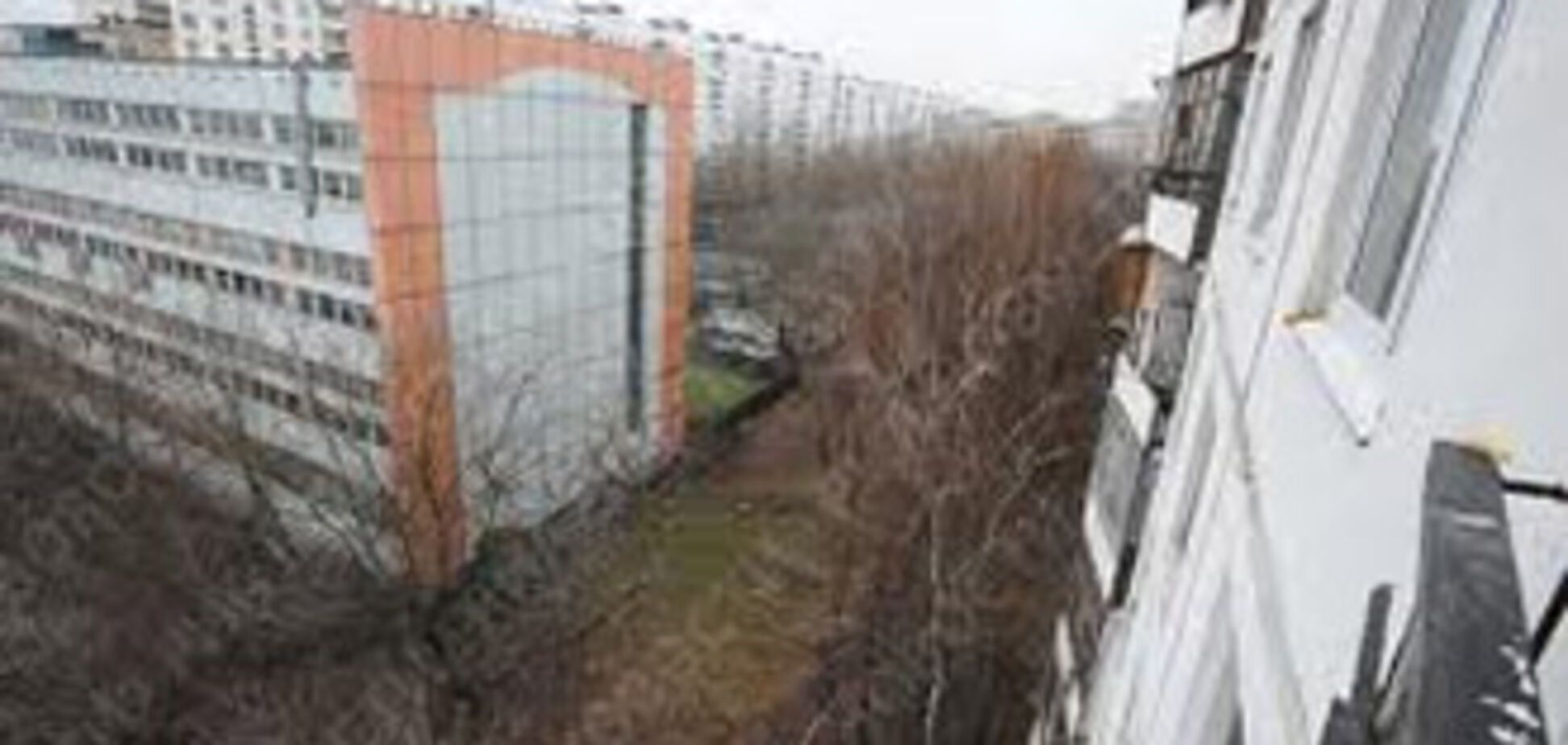 Чоловік побив вагітну дружину і викинув гостя з вікна