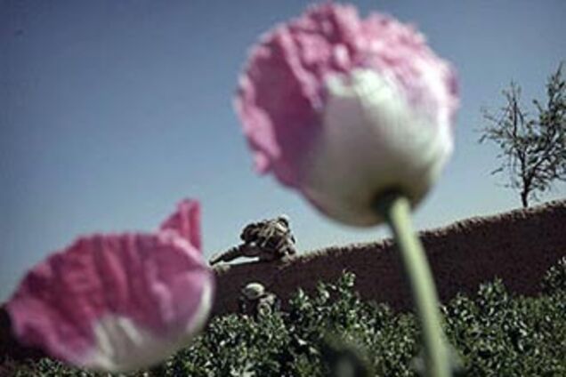 США и Россия уничтожили в Афганистане 200 млн доз героина