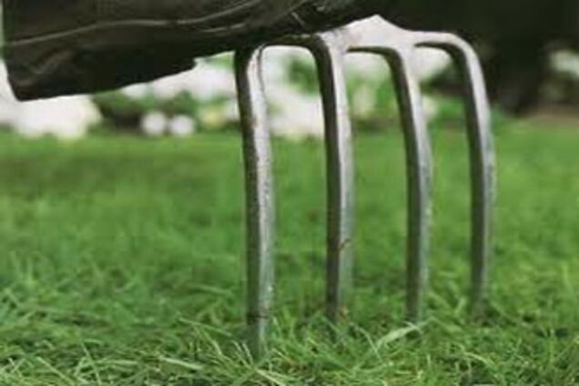 Кримчанин підняв міліціонера на вила