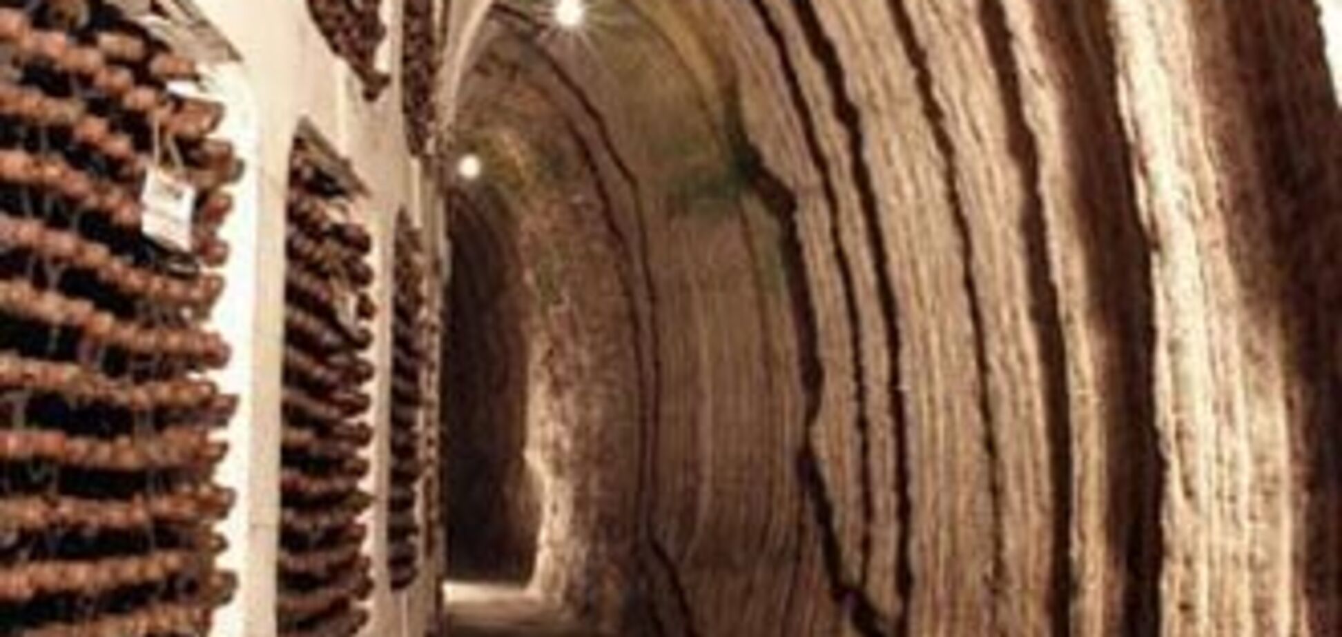 В Молдавии обанкротились 40 процентов виноделов