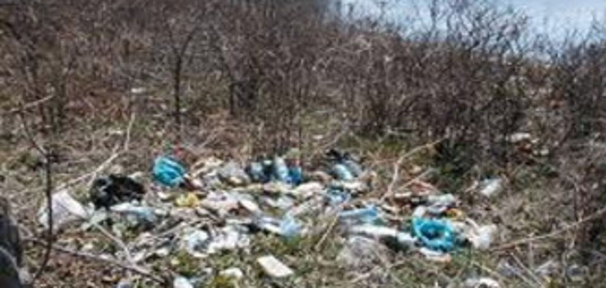 Жителей Киева заставят заниматься сортировкой мусора