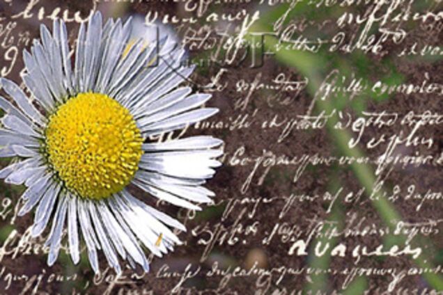 ТОП-20 надихаючих цитат