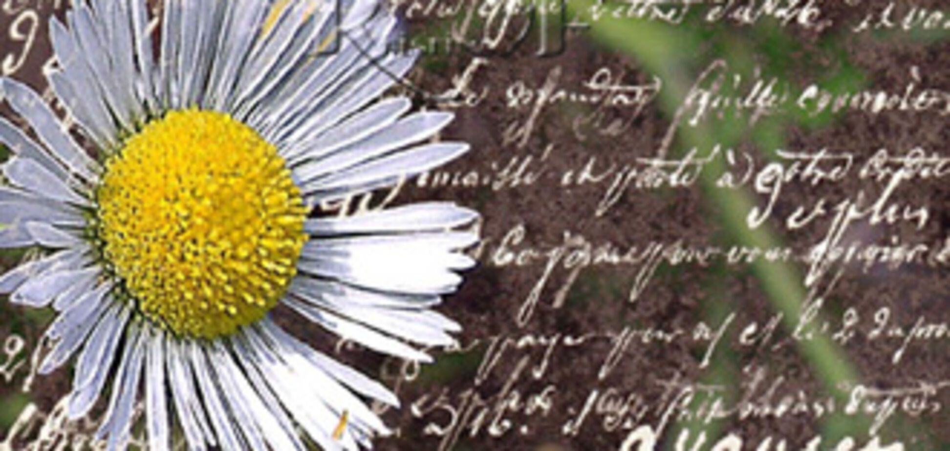 ТОП-20 надихаючих цитат