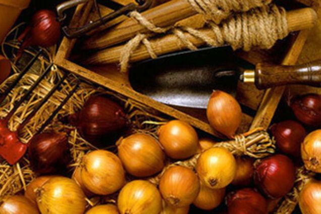 Модний осінній декор для кухні (ФОТО)