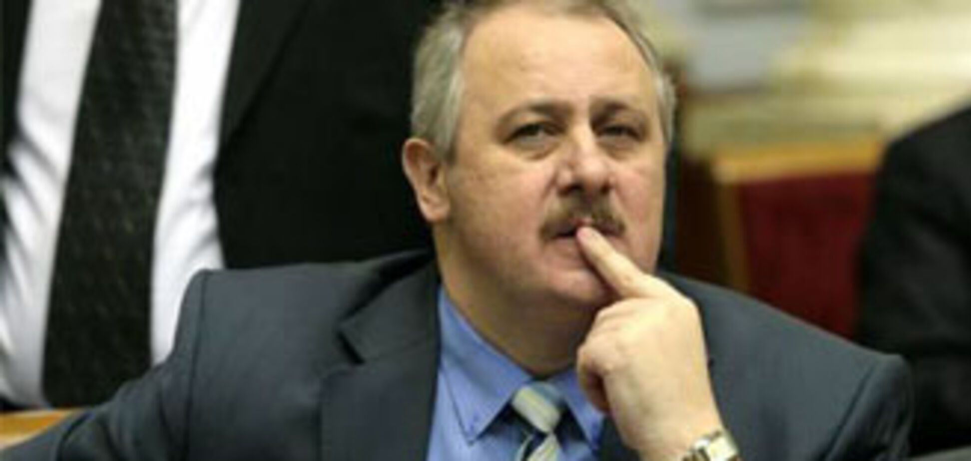 У Литвина назвали дату виборів