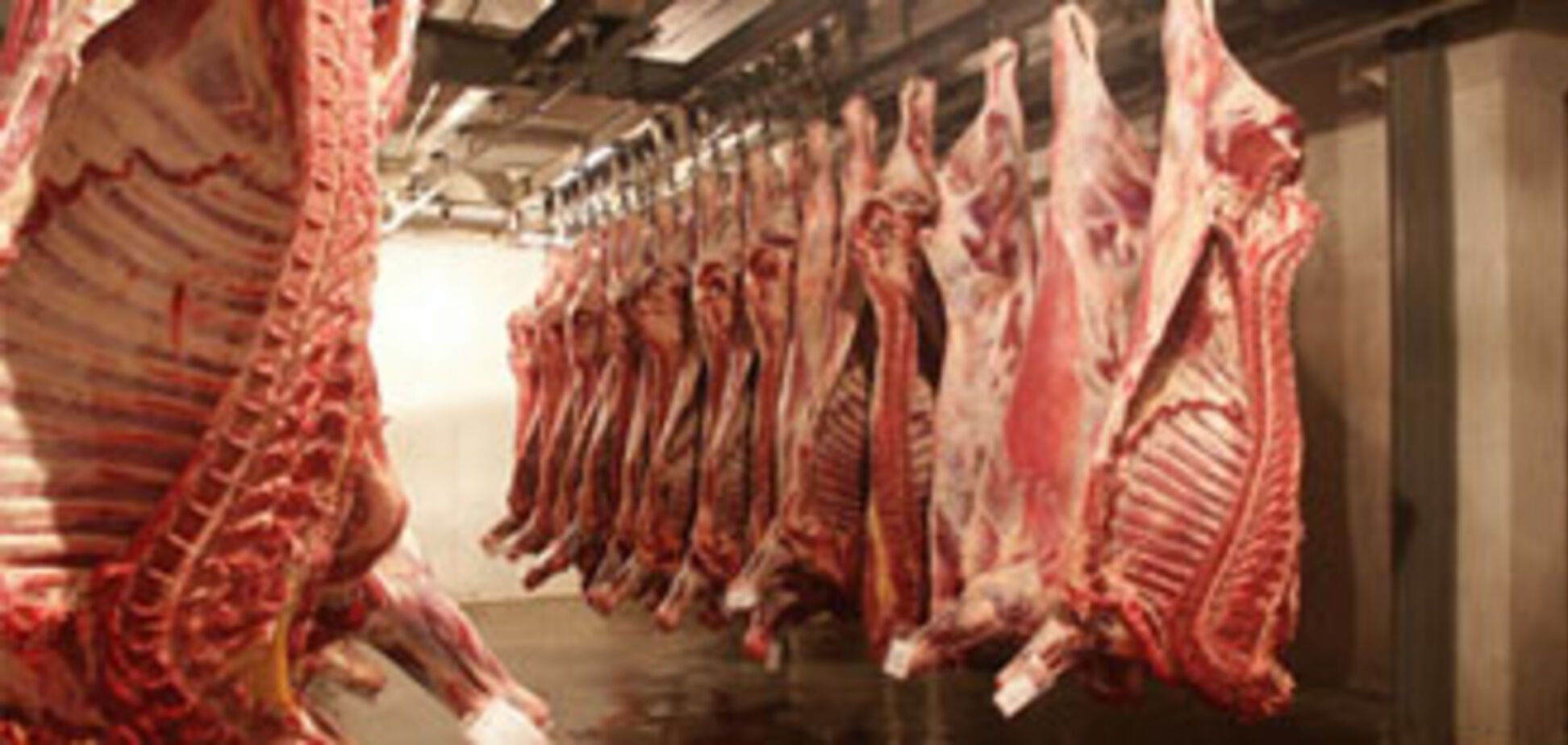 Україна скоротила ввезення м'яса