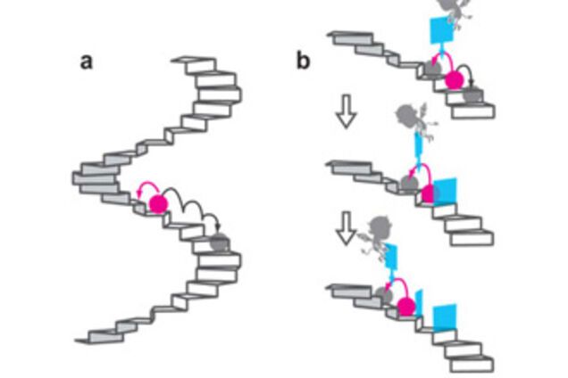 У центрі Токіо виявлений демон Максвелла