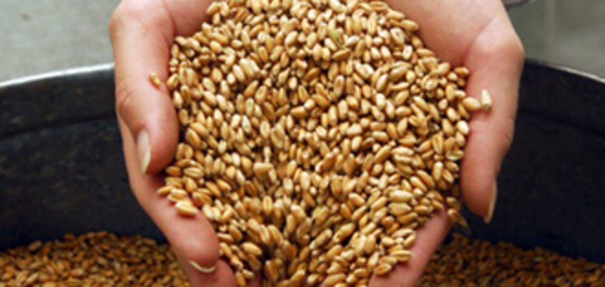 Квоты на зерно отменят для 12 стран