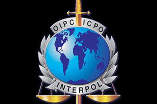 Электронные документы для Интерпола изготовят в Украине