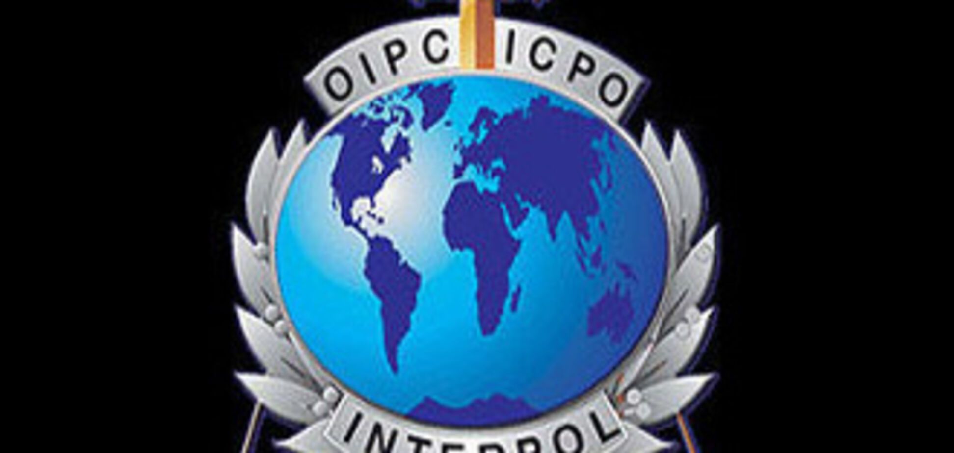Электронные документы для Интерпола изготовят в Украине