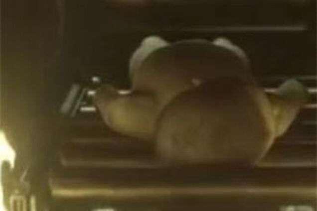 Фильм об Освенциме вызвал в Европе 'возмущение и ужас'