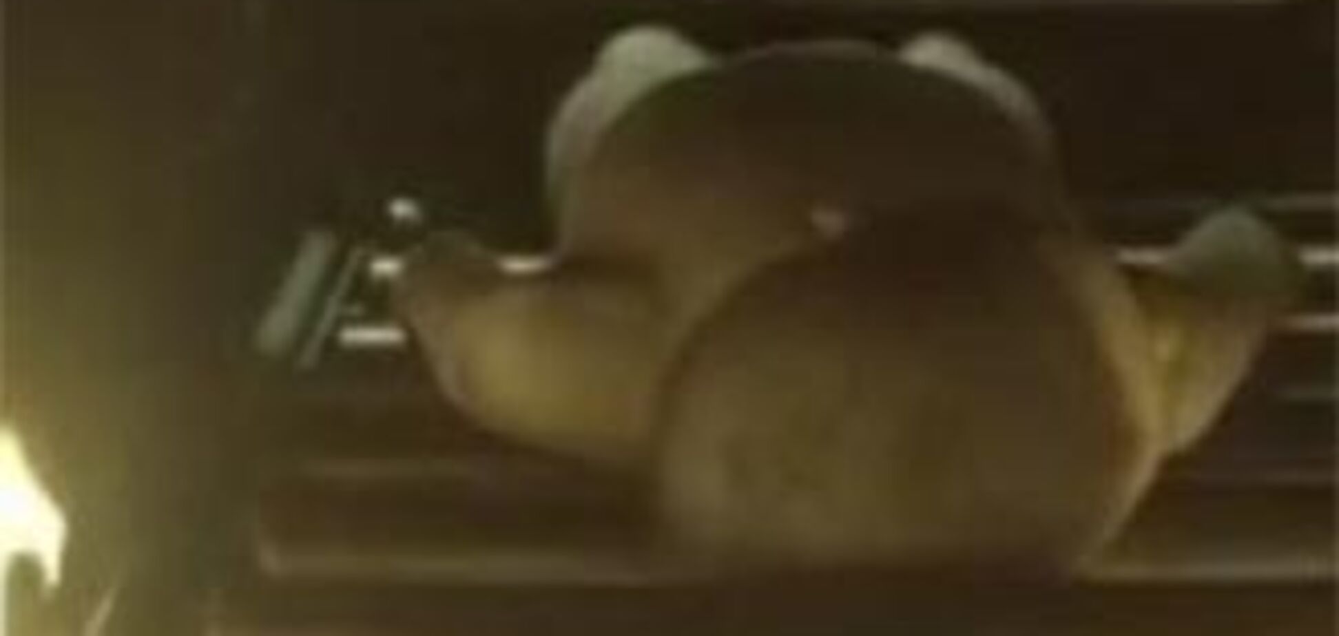 Фильм об Освенциме вызвал в Европе 'возмущение и ужас'