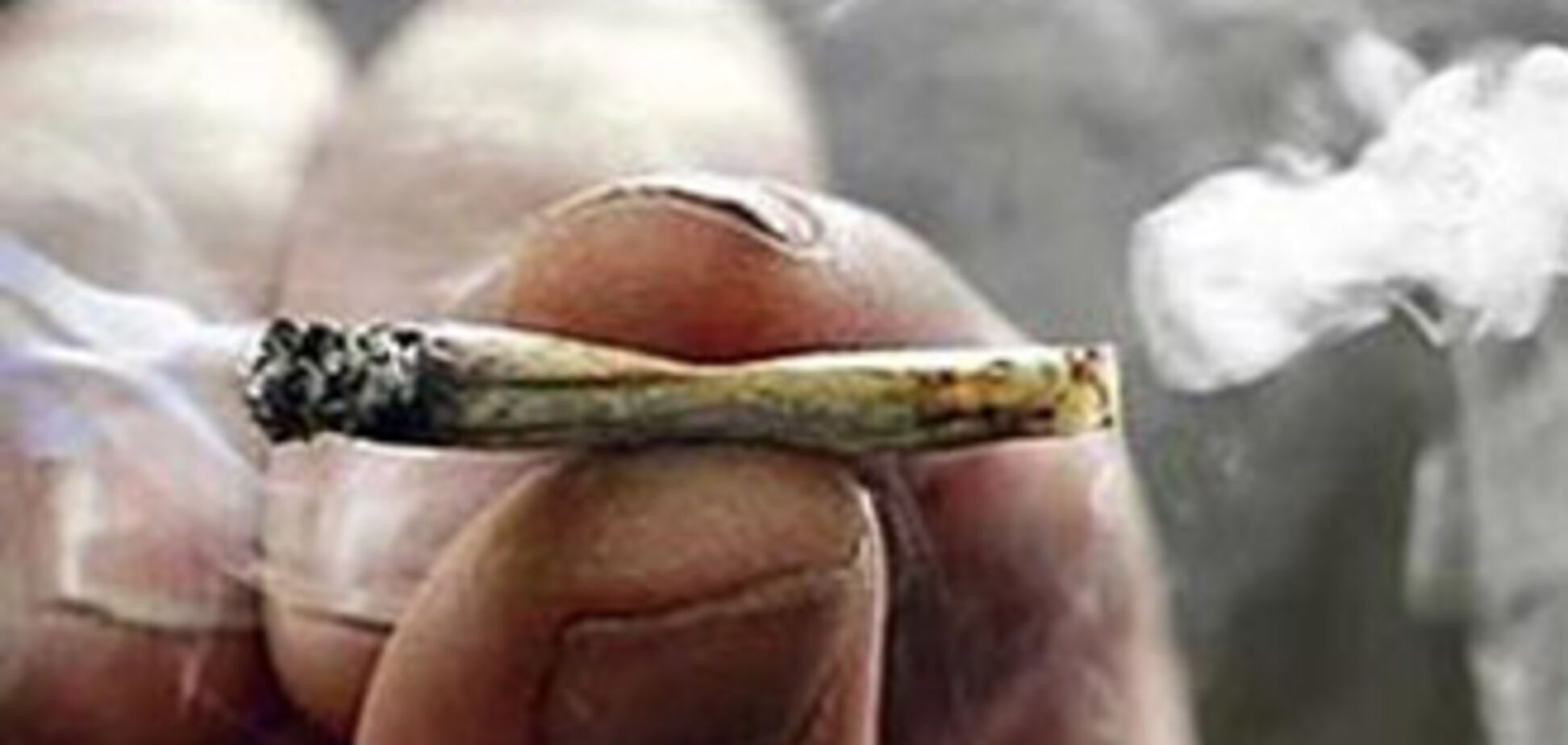 Арестована партия гашиша на 15 миллионов