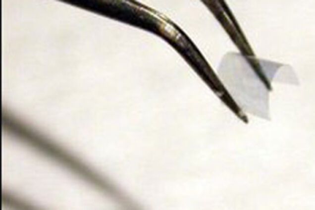 На Земле появились невидимки