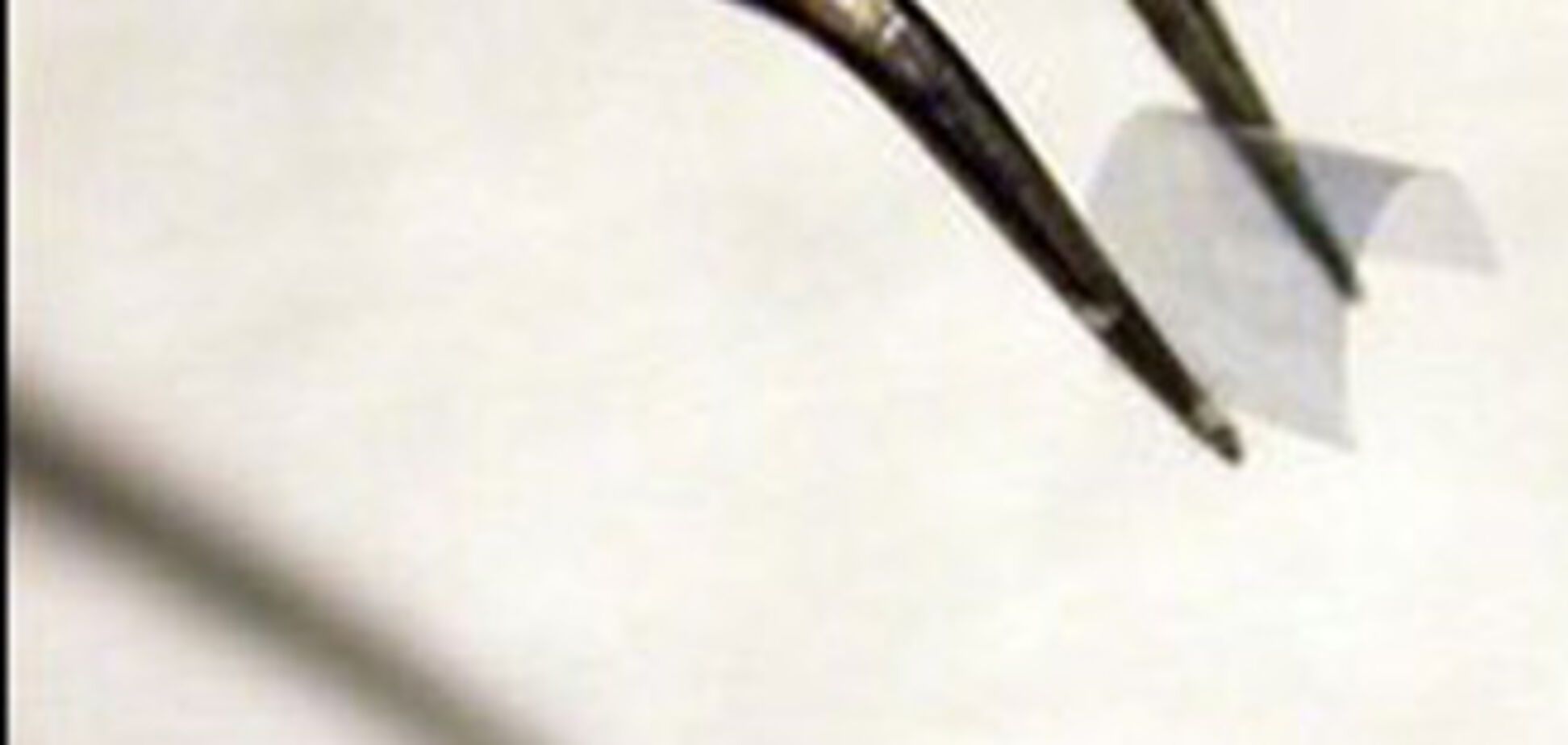 На Земле появились невидимки