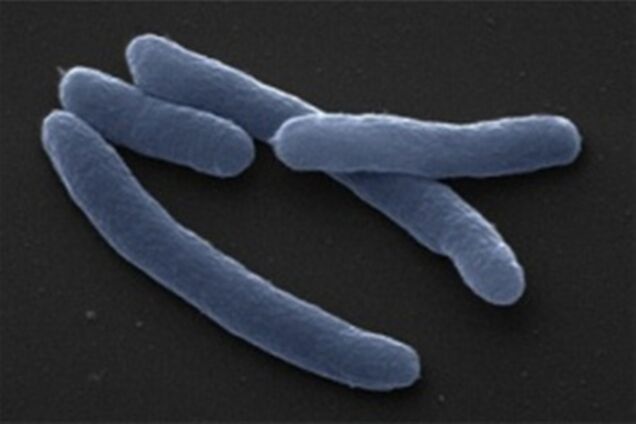 ООН выйдет в космос