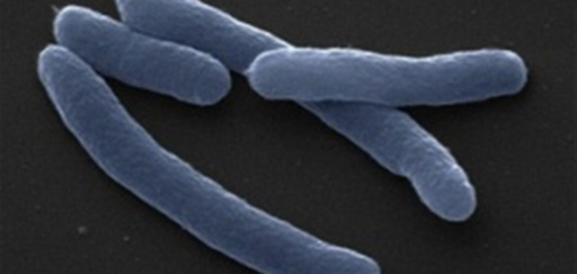 ООН выйдет в космос