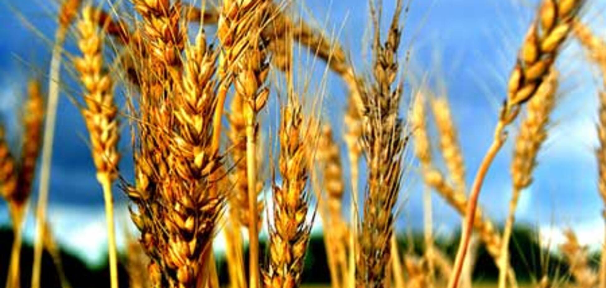 ООН: цены на продукты питания вырастут во всем мире