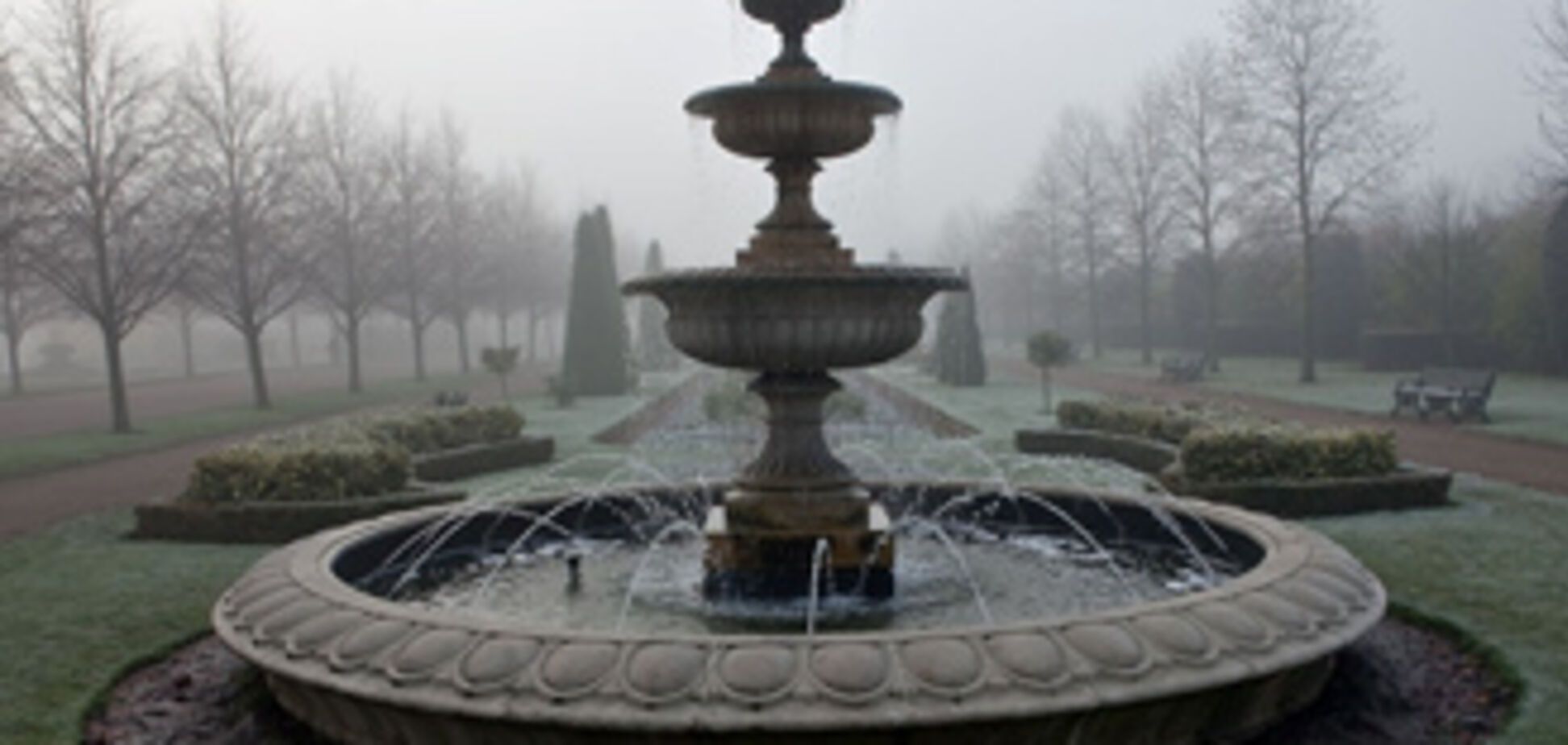 Туманний ранок в Риджентс-парку