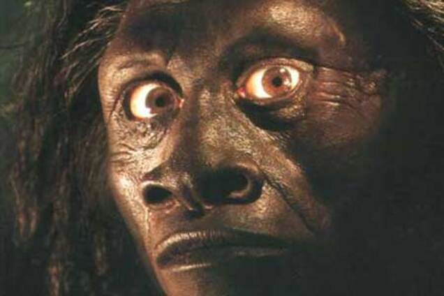 Предками человека могли быть азиатские гномики