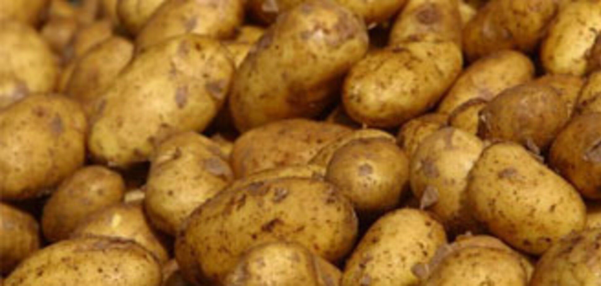 Рада відмовилася обнулити мито на імпорт гречки і картоплі