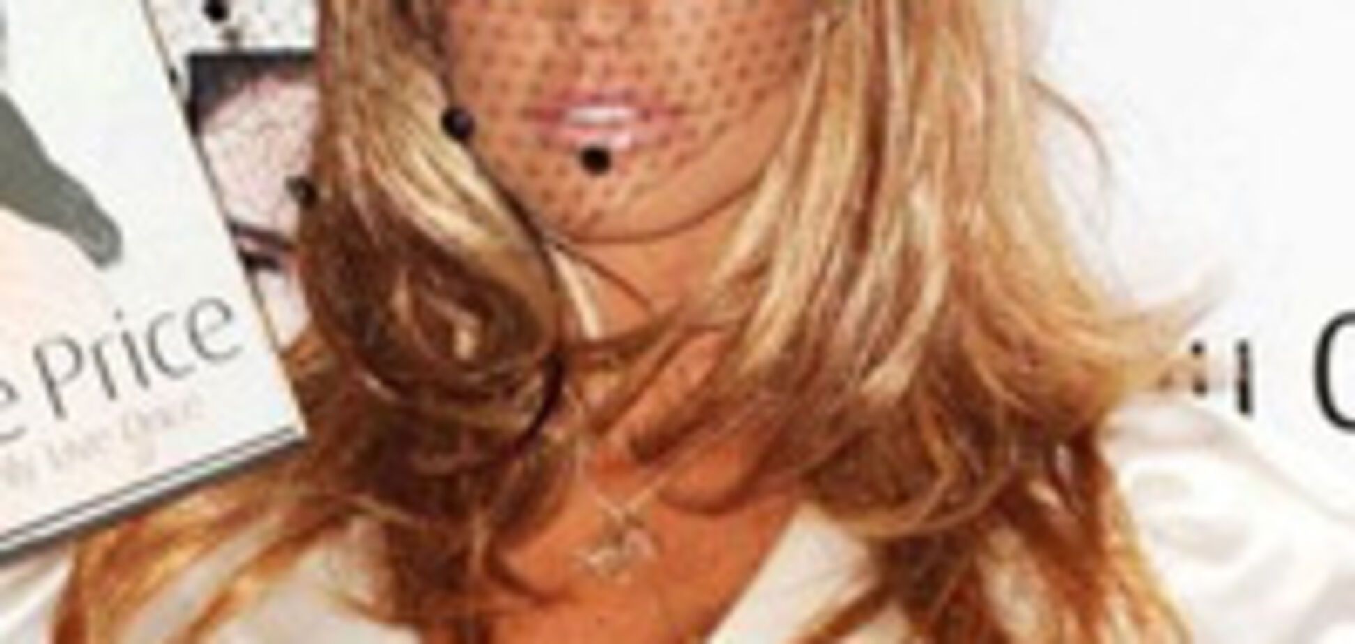 Из Кэти Прайс получилась бы отличная училка