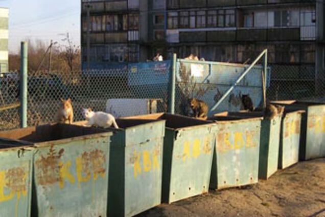 Сэкономили на похоронах:выбросили мертвую бабушку в мусорку