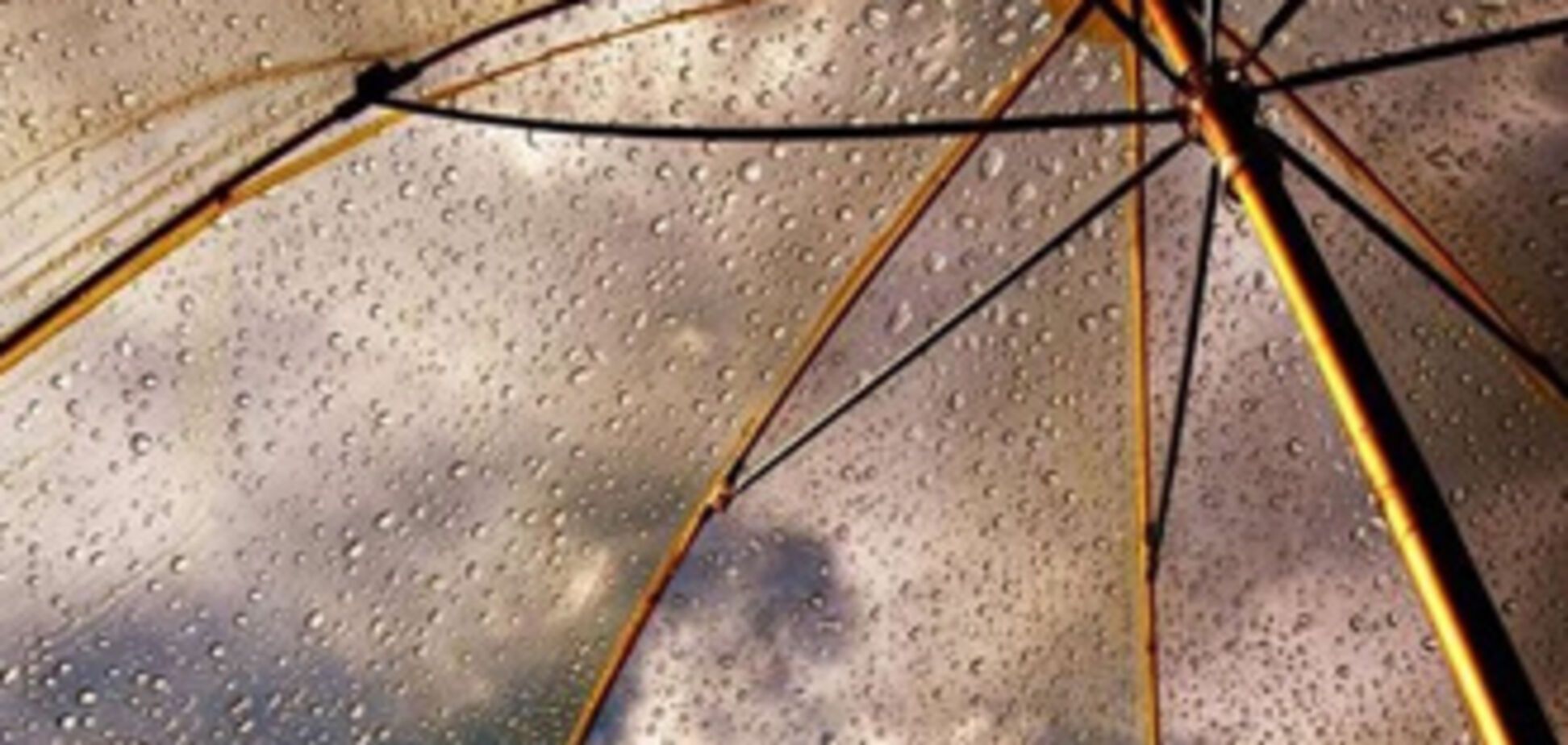 Великолепие дождя (35 фото)