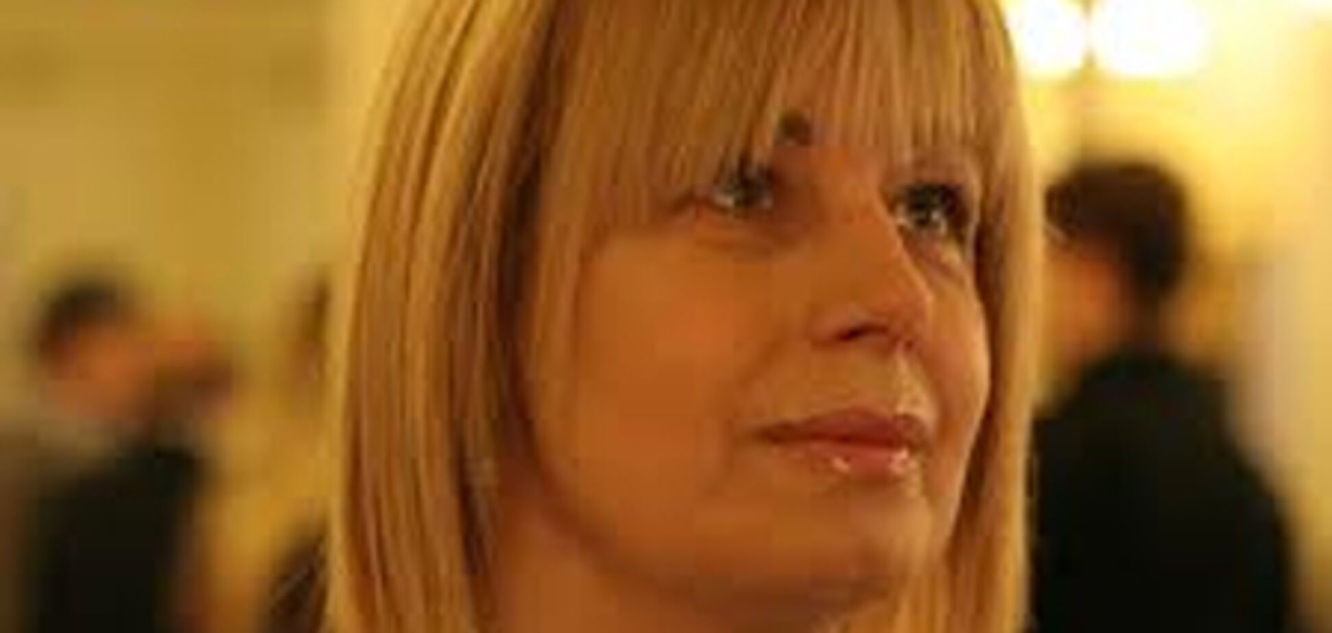 Герман: 'Я не говорила ничего о возможном вето Президента!'