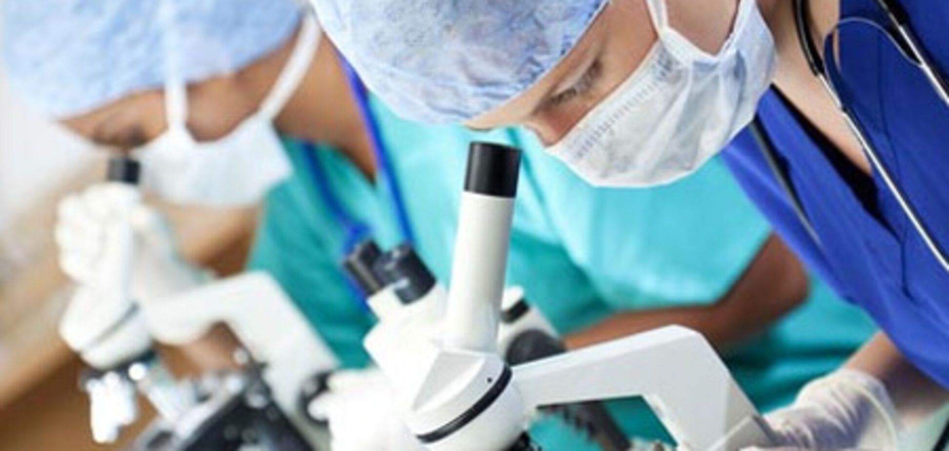 Кожаная обувь ядовита