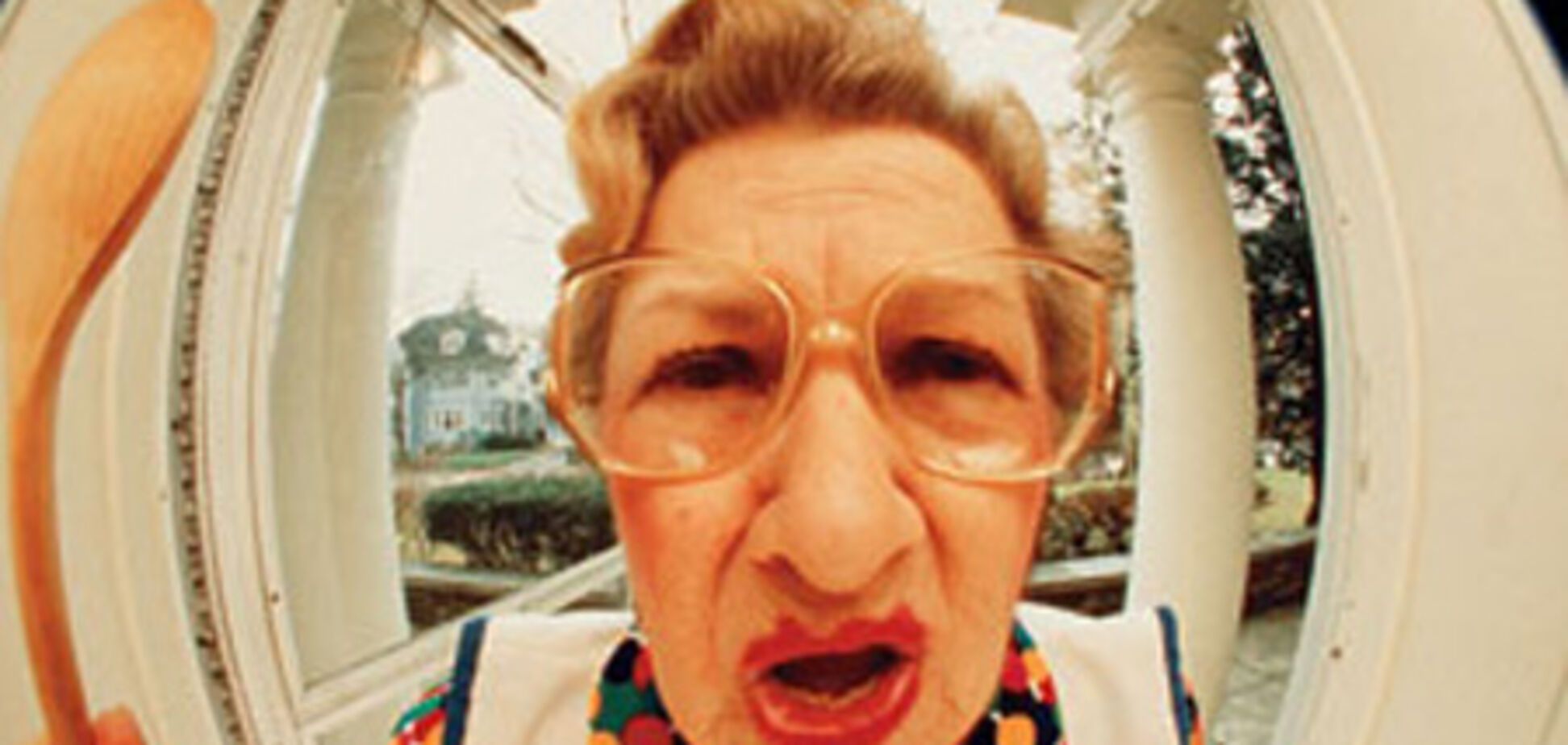 6 типов тещ и методы их укрощения