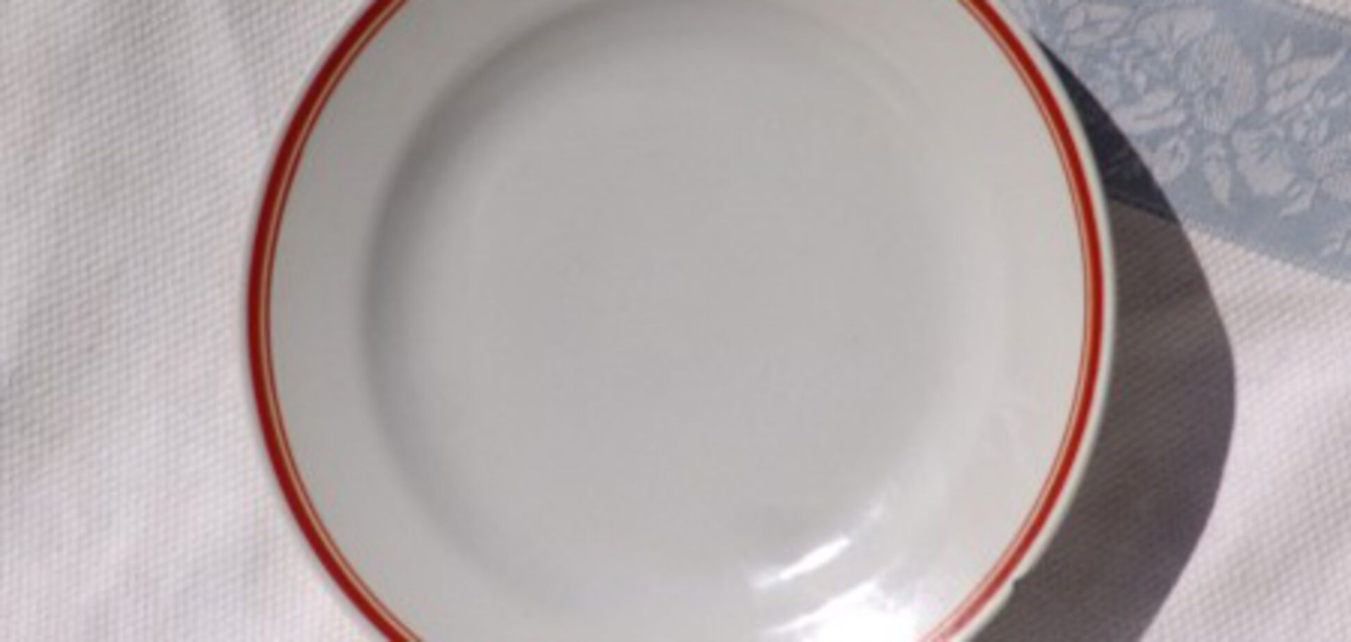 Януковичу, Табачнику и Колесникову предложили голодать 3 дня