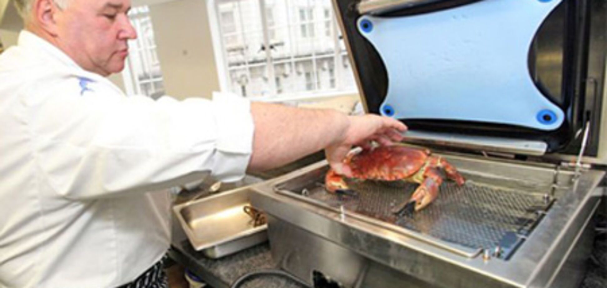 Новый способ готовить морепродукты, 25 ноября 2010