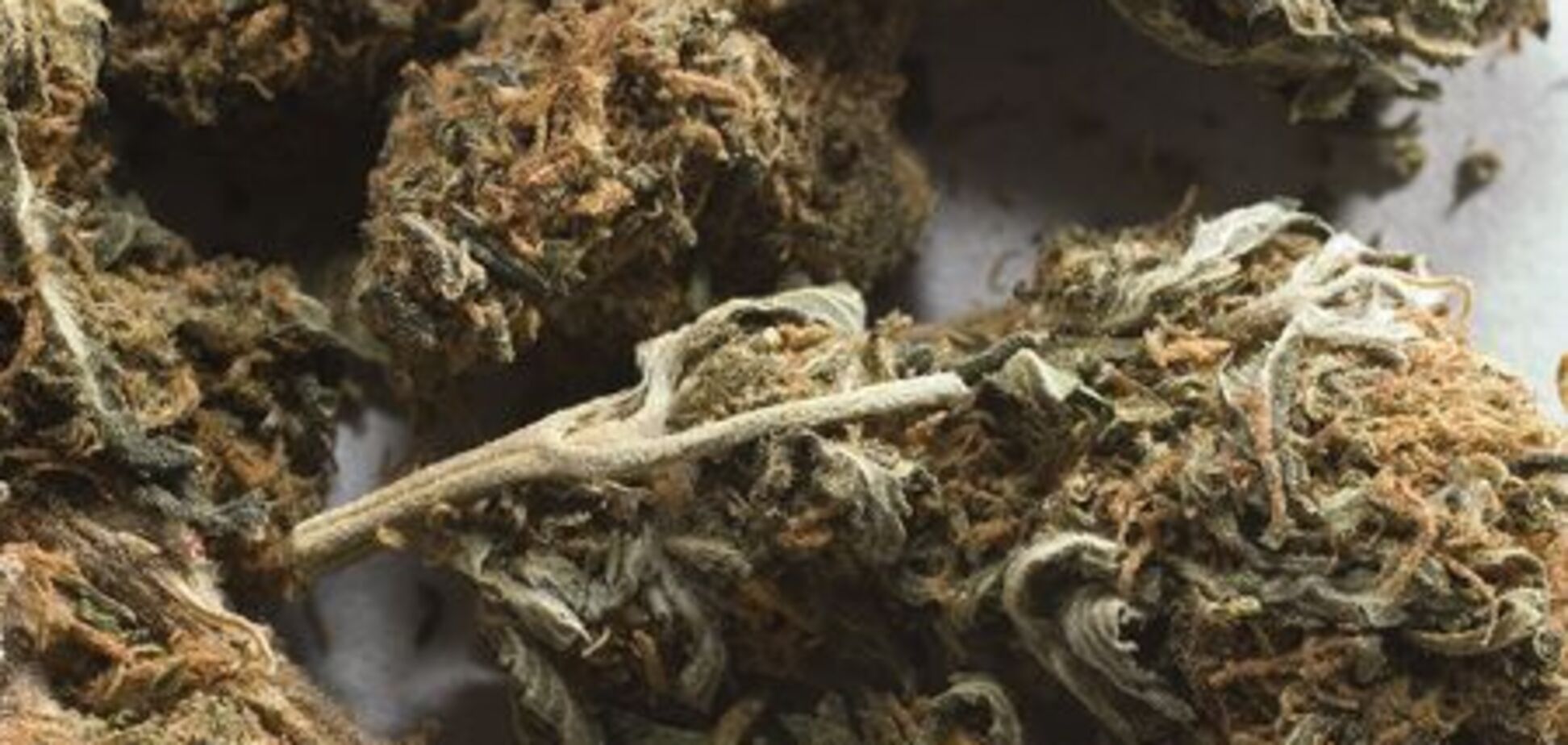 На кордоні США заарештували 20 тонн марихуани