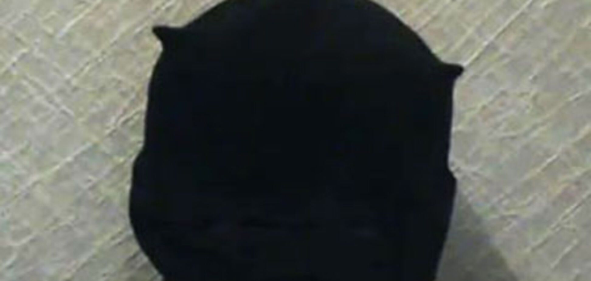 ВИДЕОобращение 'участника нападения на Кашина'