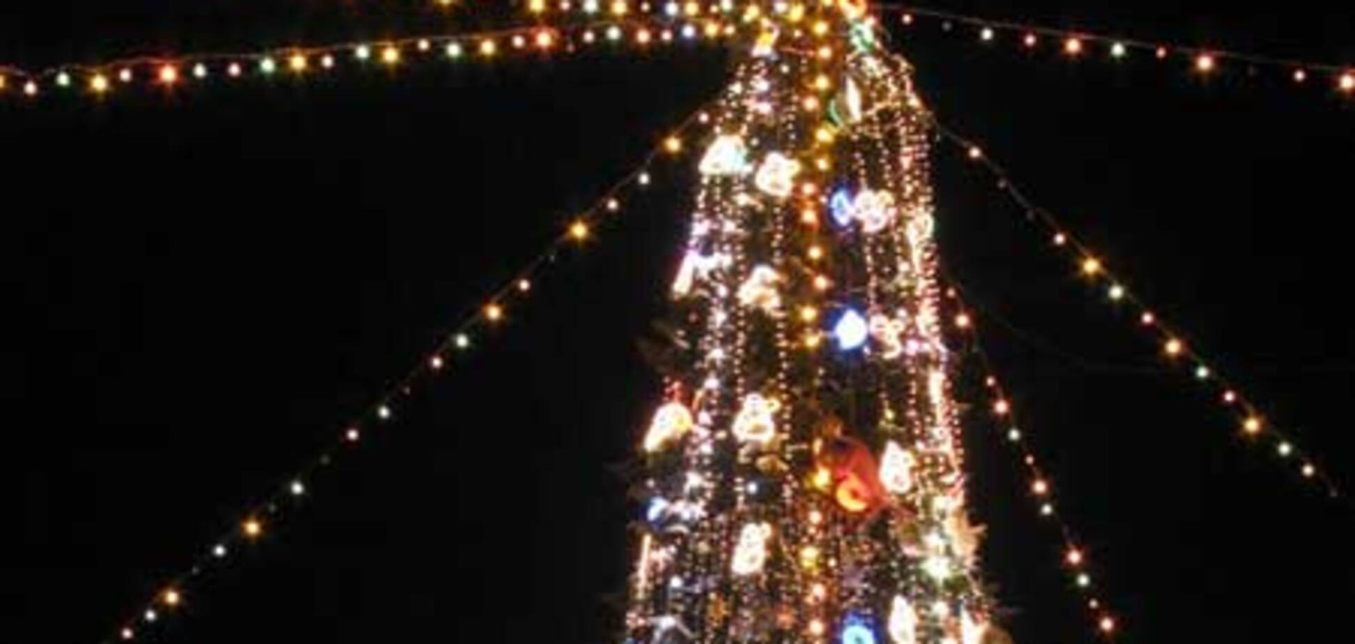 В Австралии появилась велосипедная елка