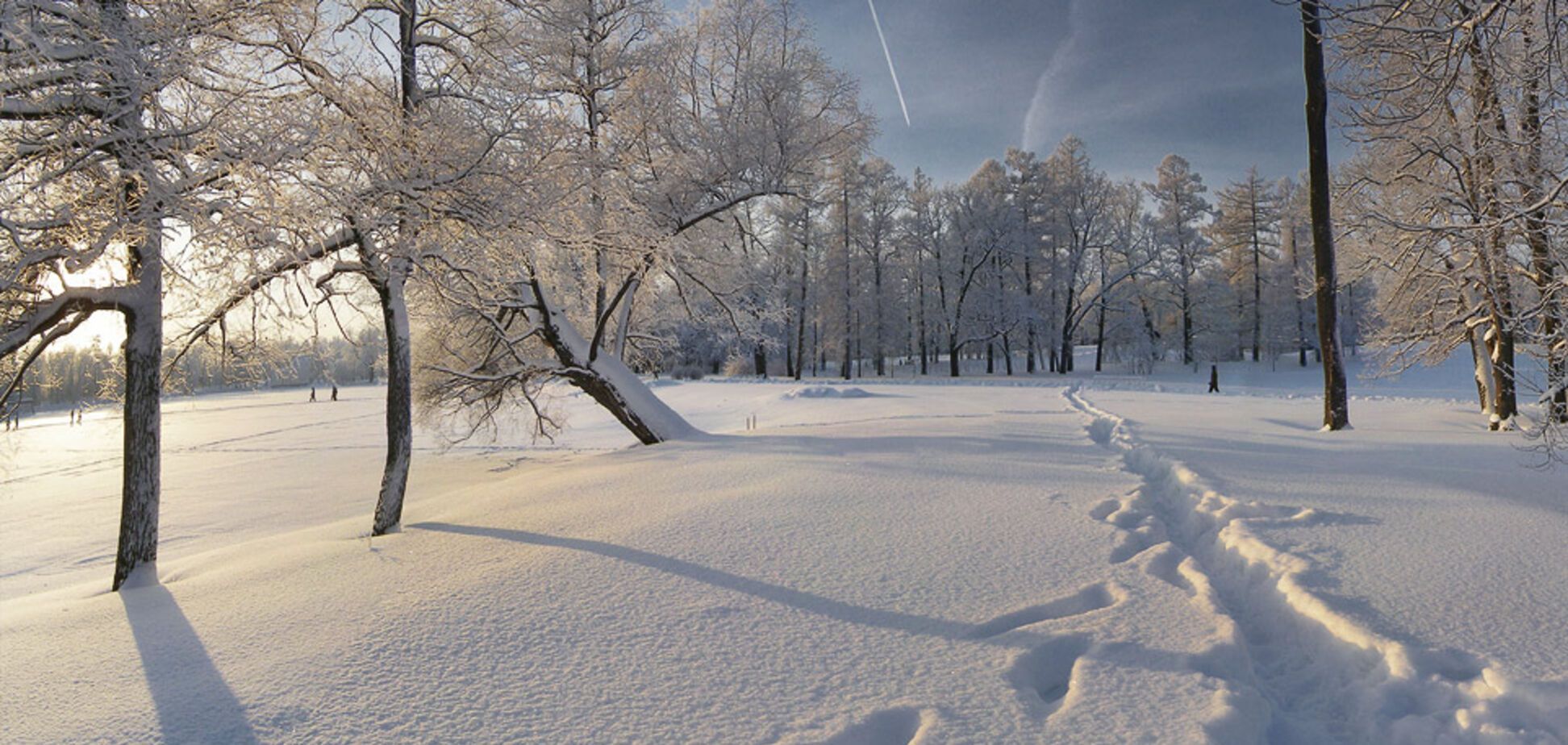 Во Львове грабителя задержали по следам на снегу