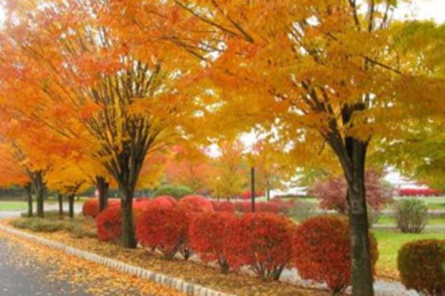 В Украину на 10 дней вернулось 'лето