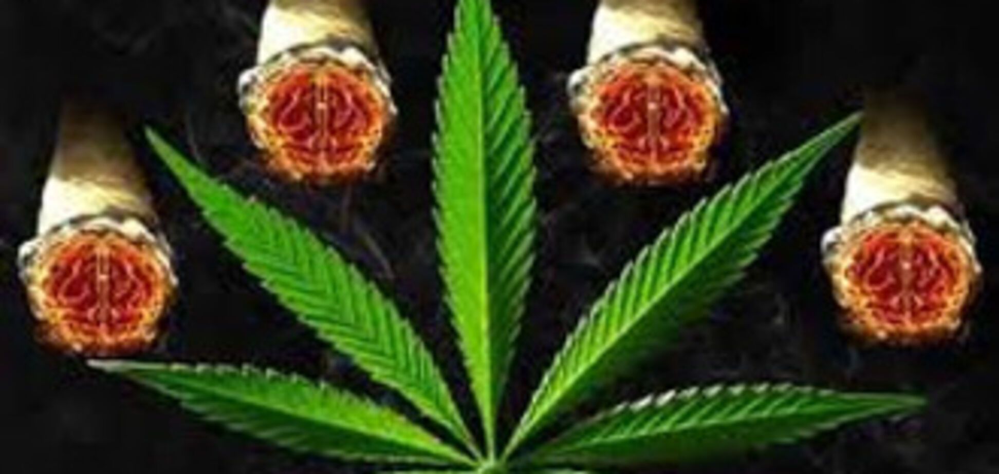 Туристка «премировала» персонал гостиницы килограммом гашиша