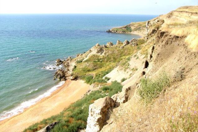 Янукович озвучил проблемы с Керченским проливом